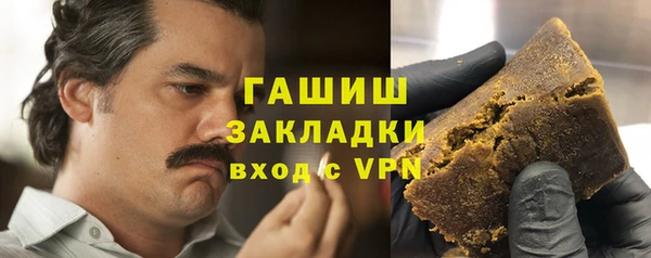 хмурый Аркадак