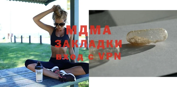 хмурый Аркадак