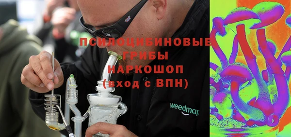 дживик Арсеньев