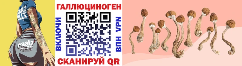 гидра ONION Маркс Галлюциногенные грибы MAGIC MUSHROOMS